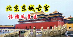 免费观看破处大片中国北京-东城古宫旅游风景区